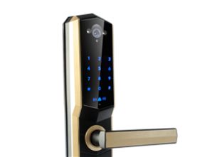 泊頭生活服務全攻略 搬家、醫療、送水、商家、工程車及計算機軟硬件服務指南